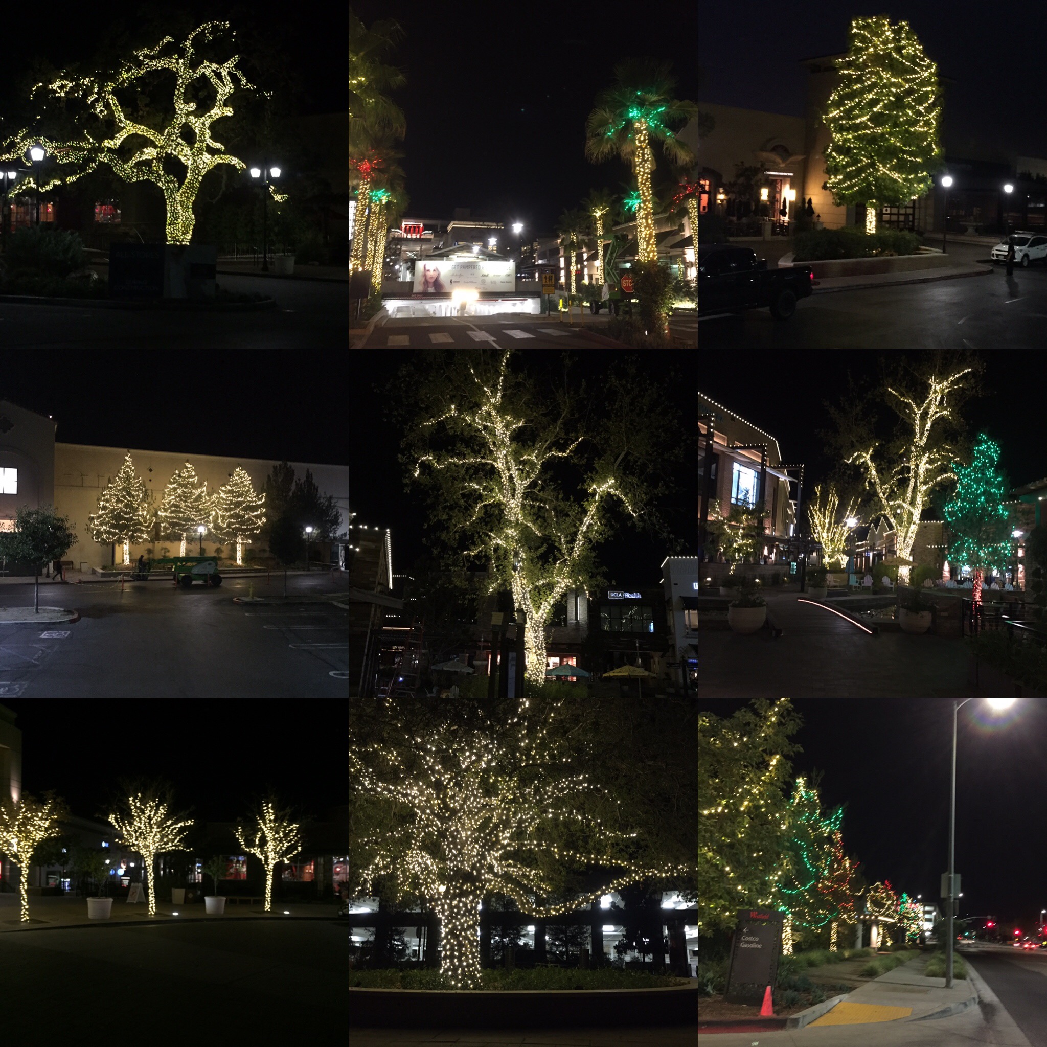 LED Tree Lighting