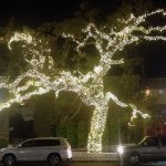 LED Tree Lighting