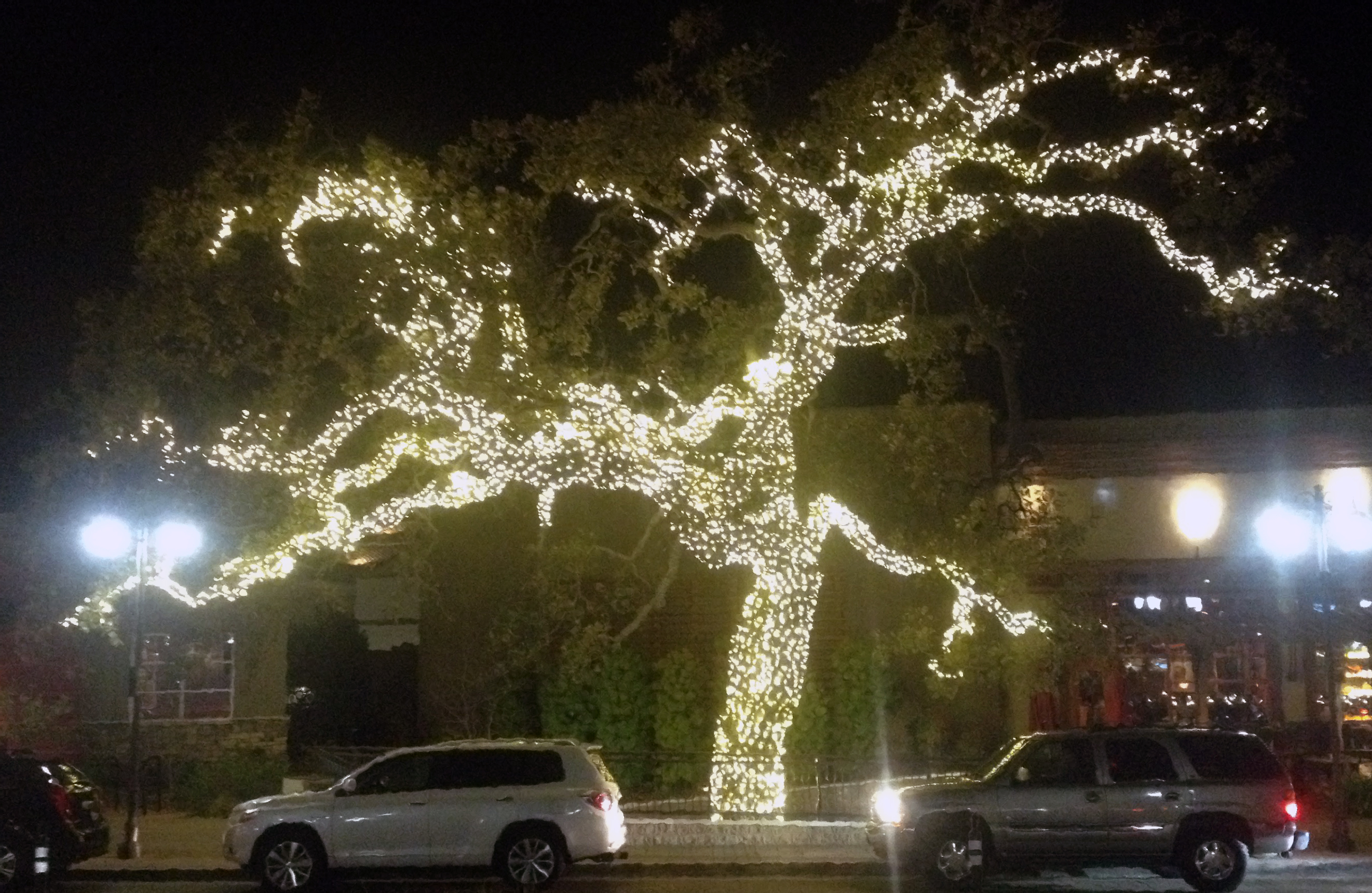 LED Tree Lighting